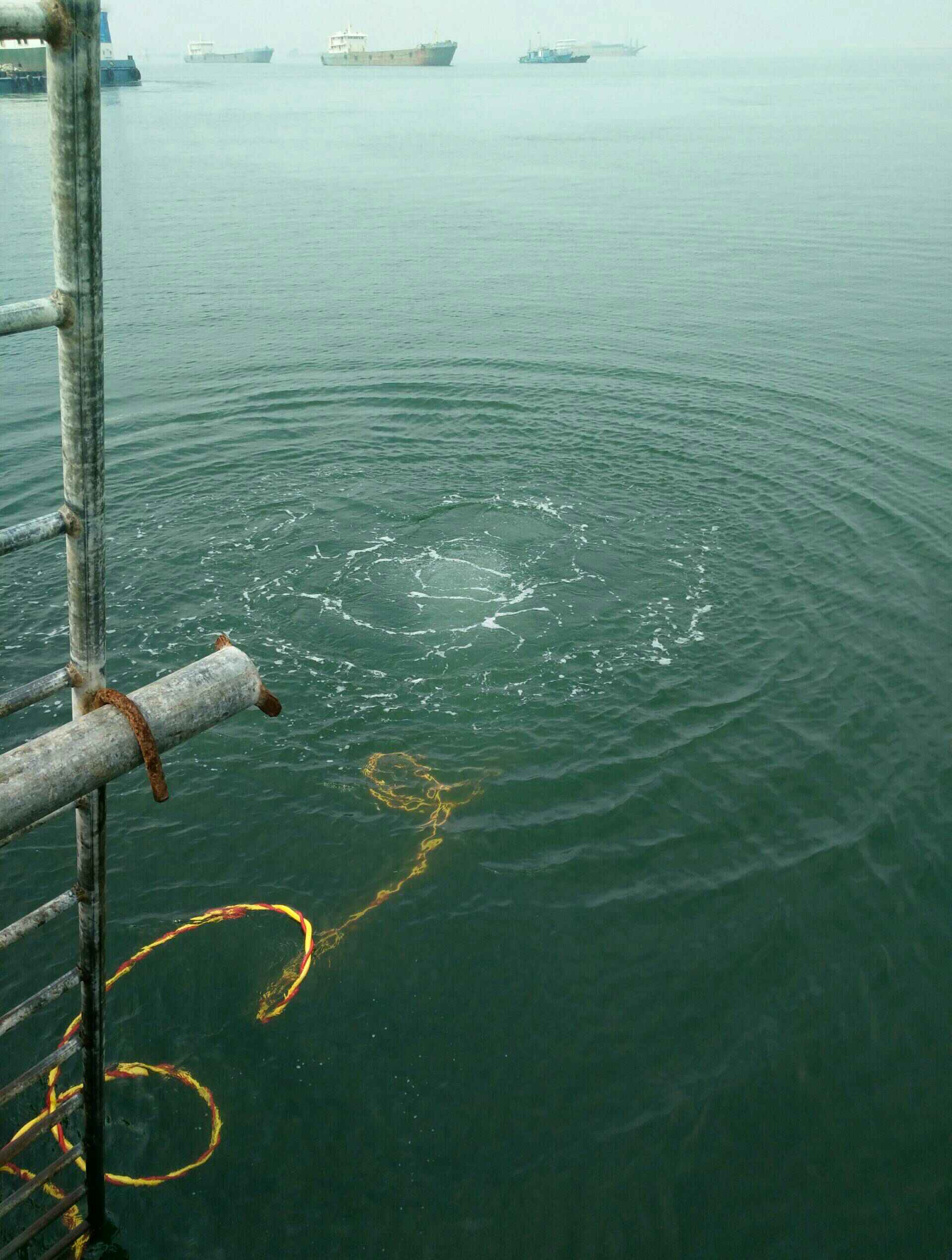 海底蛟龙(东北人)