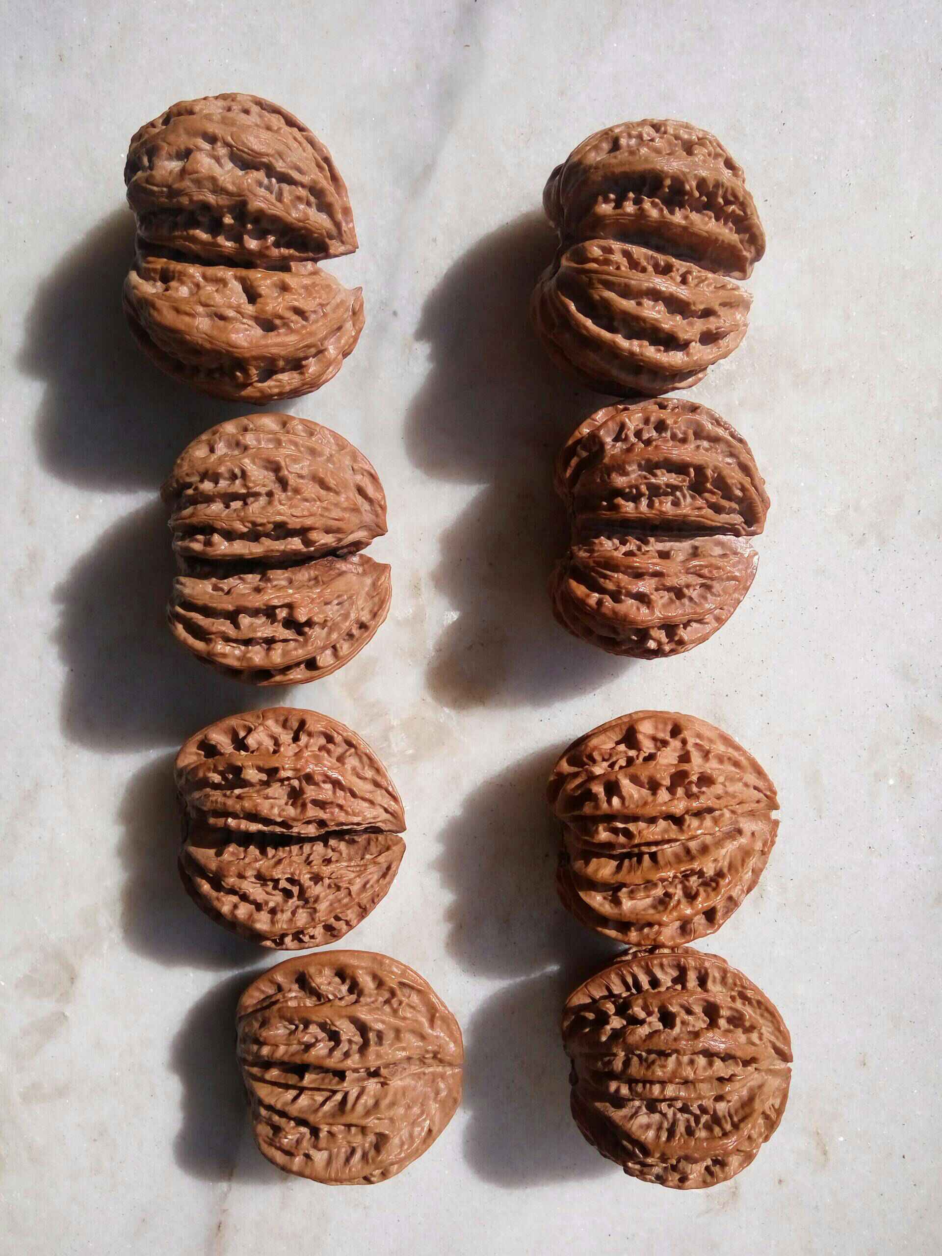 连体双棒核桃 117       赞                   评论              2