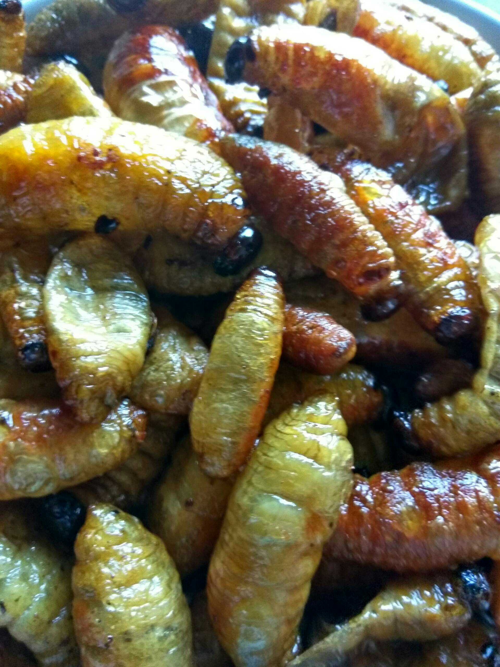 乐山的特产喔!笋蛆好吃的很! 857       赞                   评论