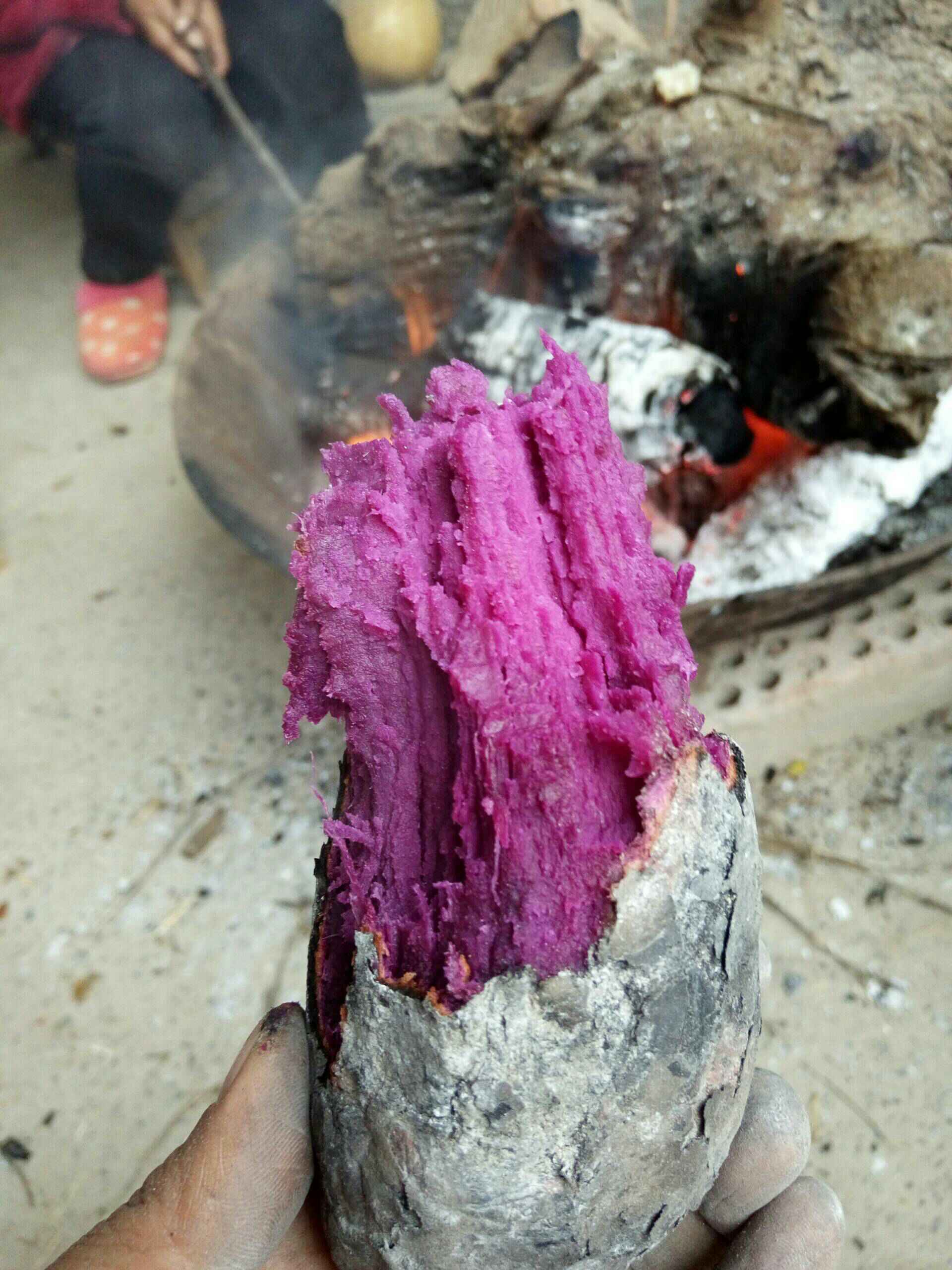 橙熟& | 柚稚&的主页-快手直播