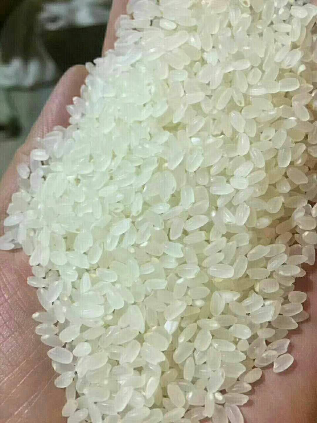 老潘正宗盘锦河蟹大米