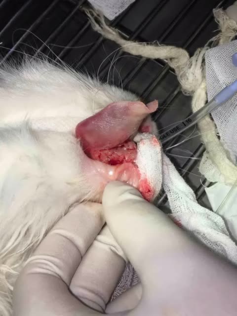 null的主页-快手直播