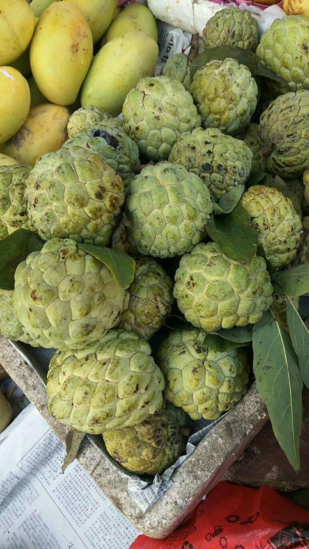 波萝蜜妹妹9599的主页-快手直播