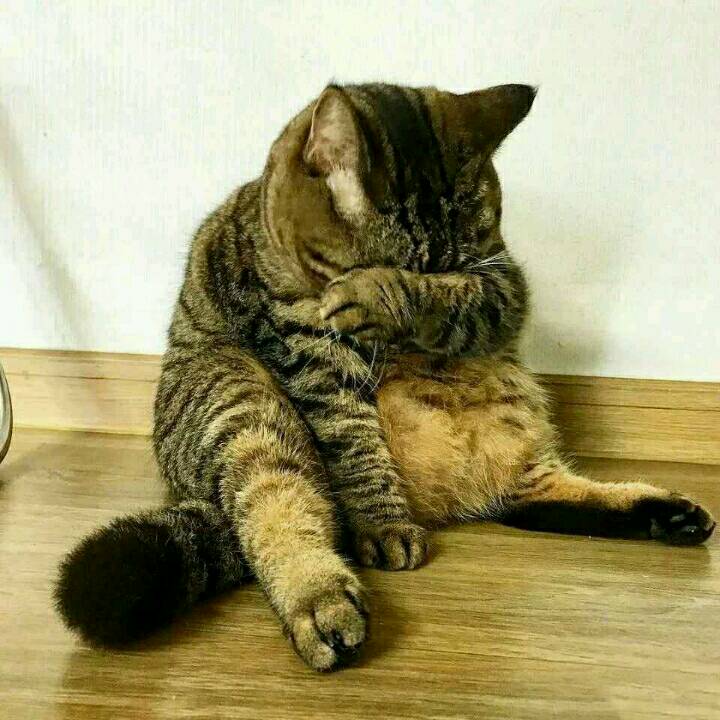 小龙女sss的主页-快手直播