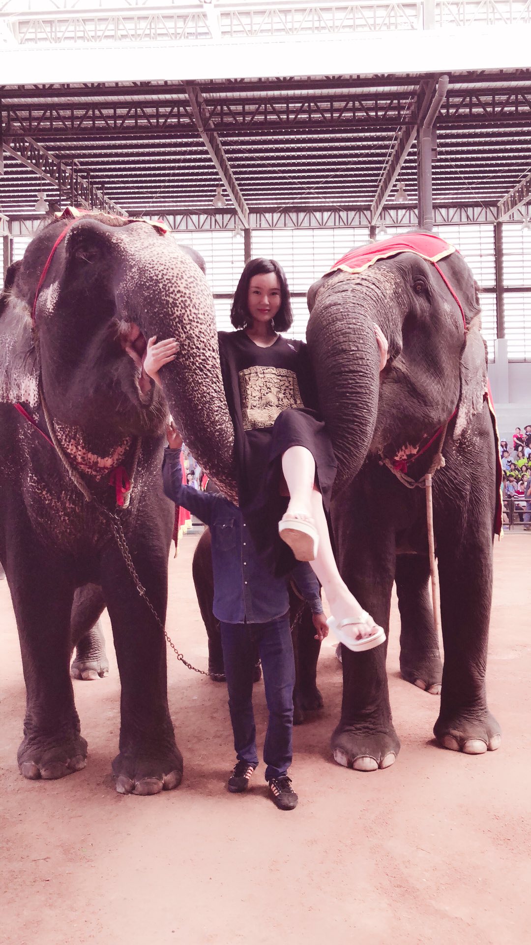 吓出一身汗来…… - 梦竹再现的快手