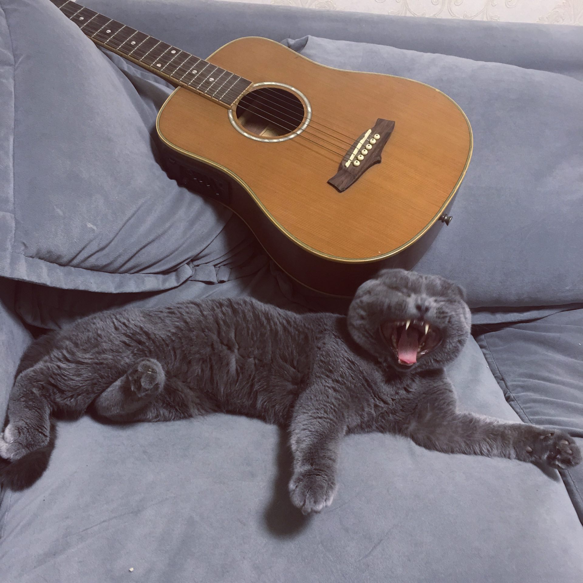 爷～ 你别吼 小的退下…… - 九猫欧式奶茶铺*创始人的快手