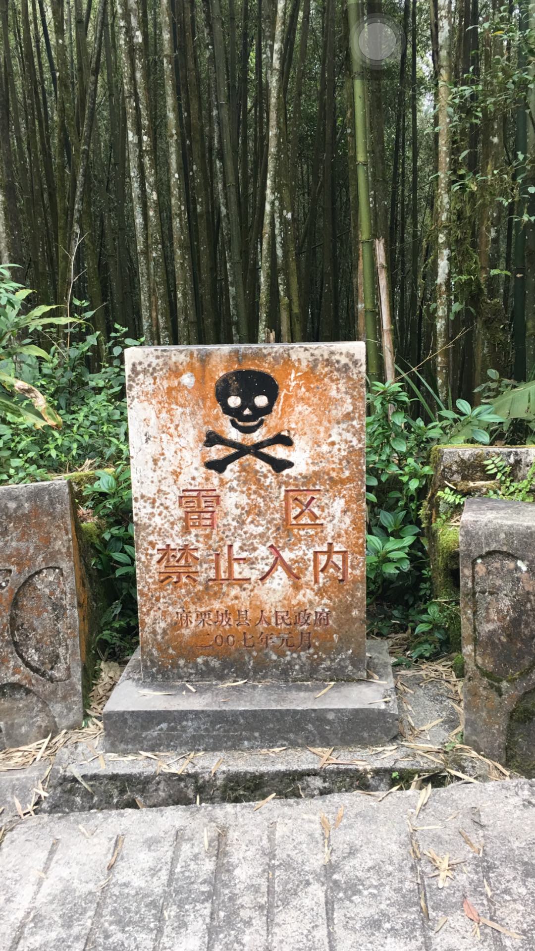 如您发现违法违规内容, 请向我们举报.