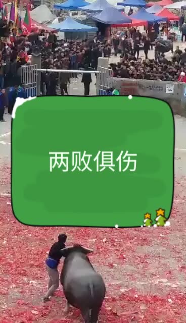 风雨同舟 虎哥的主页-快手直播