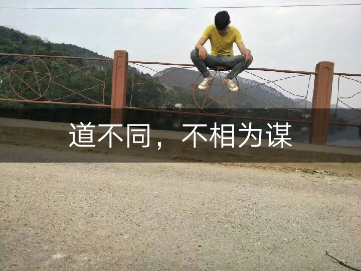 你走你的阳关道,我走我的独木桥 9月前