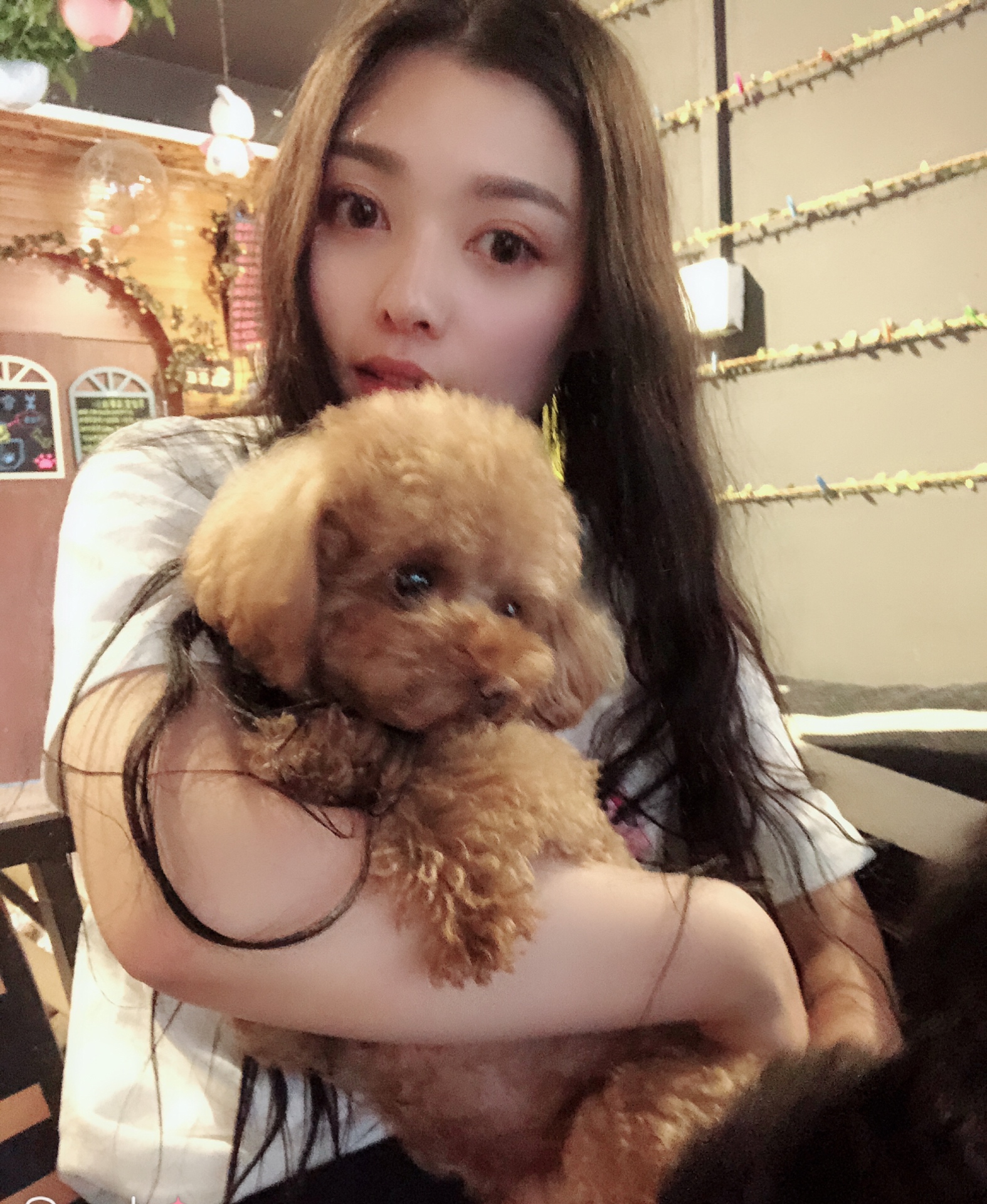 怪兽宝宝和小崽子们