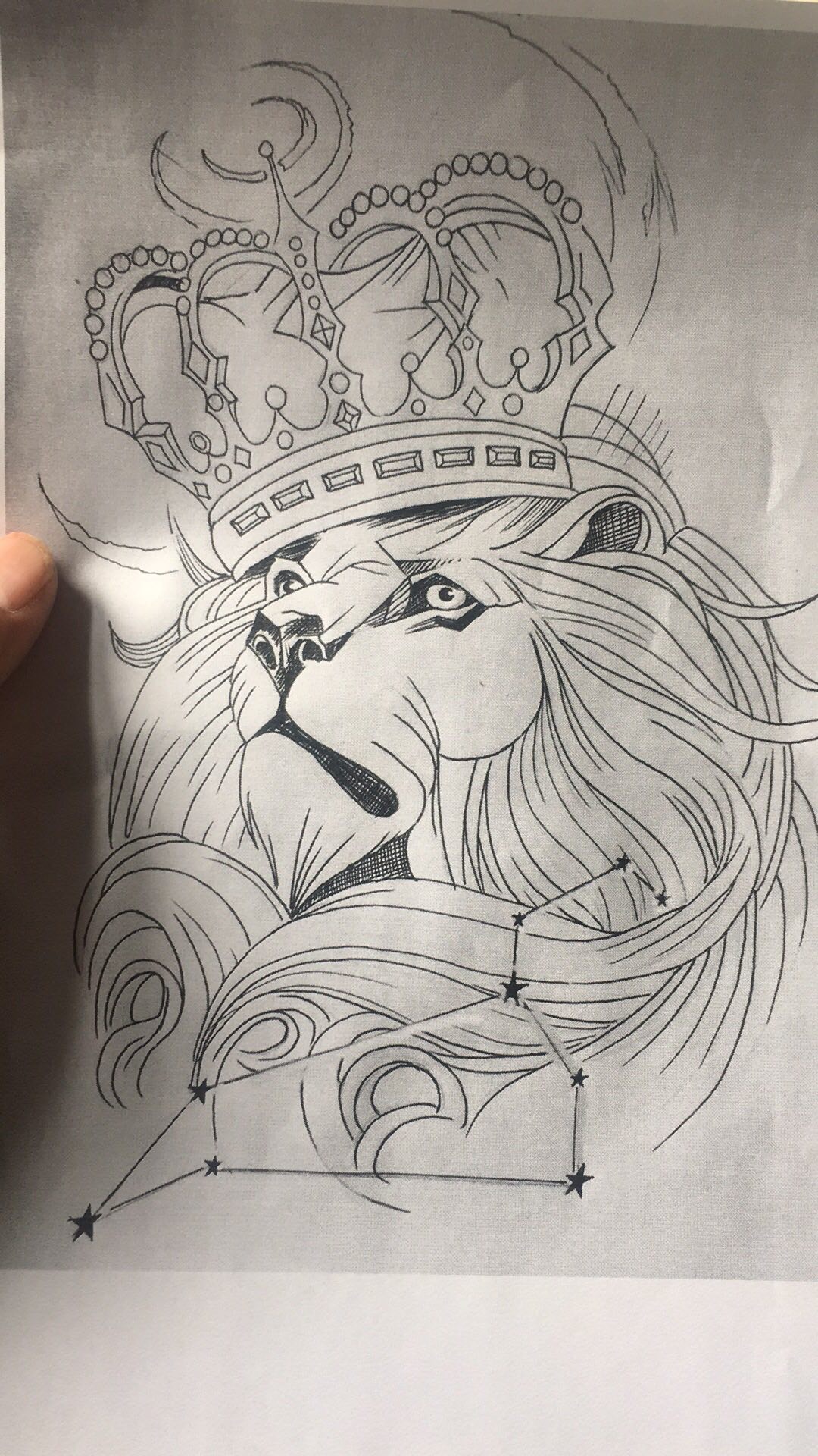 私人定制狮子座手绘稿 208       赞                   评论