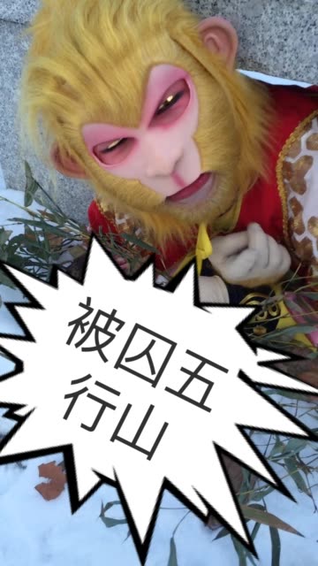 魔法美猴王涛涛的主页-快手直播