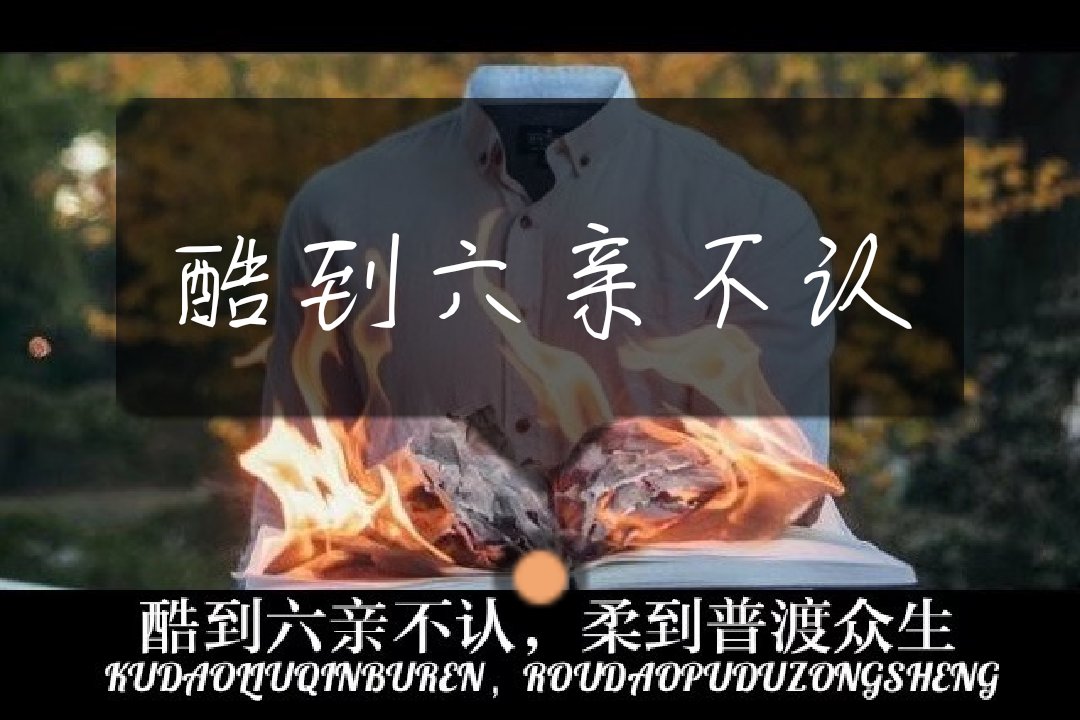 酷到六亲不认,柔到普度众生 146       赞                   评论
