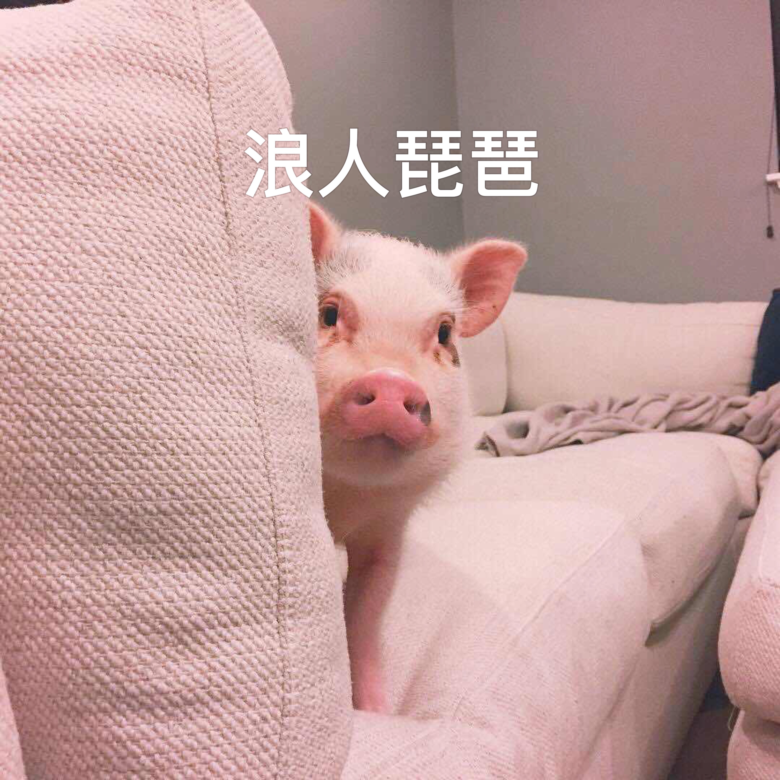 快手直播