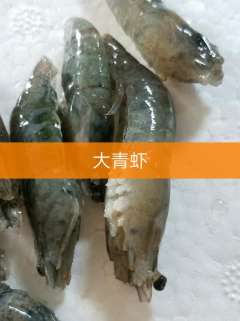 水族圈87鱼食双双的主页-快手直播