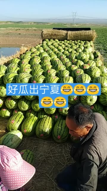 宁夏石头瓜(虎哥)的主页-快手直播