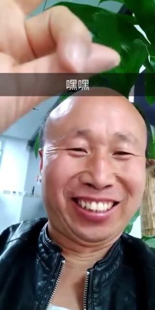 圣主高飞(助理丸子哥哥)的主页-快手直播