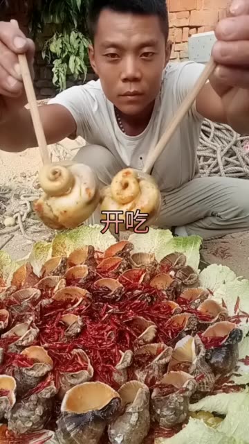 海边二蛋的主页-快手直播