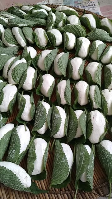 苏叶糕绿色红豆馅儿 396       赞                   评论