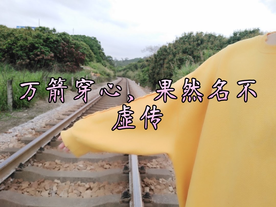 从掏心掏肺,到撕心裂肺 从刀枪不入,到万箭穿心 再到一败涂地!