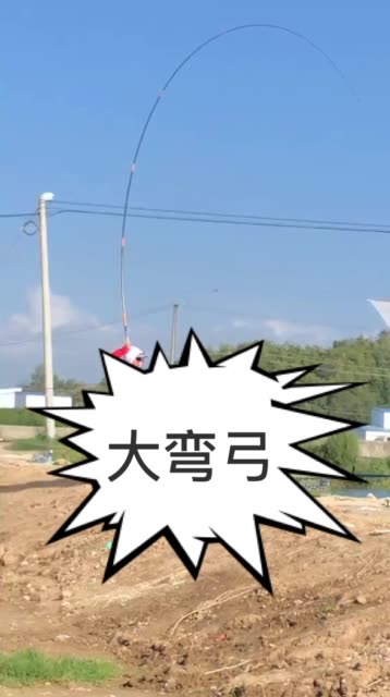 雄起是什么意思图片