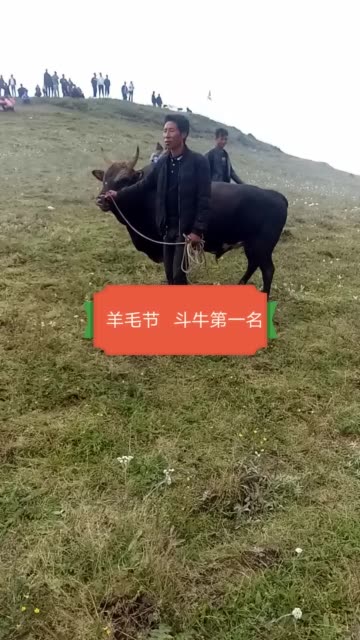 大凉山.格格惹的主页-快手直播