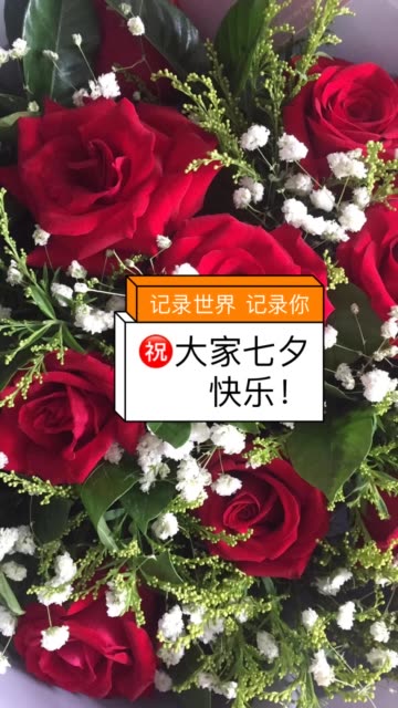 陪伴是最长久的告白,贵在专致,矢志不渝!