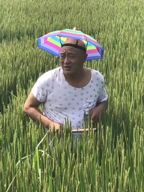 快手直播
