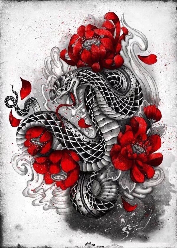 忆青春tattoo-伯乐