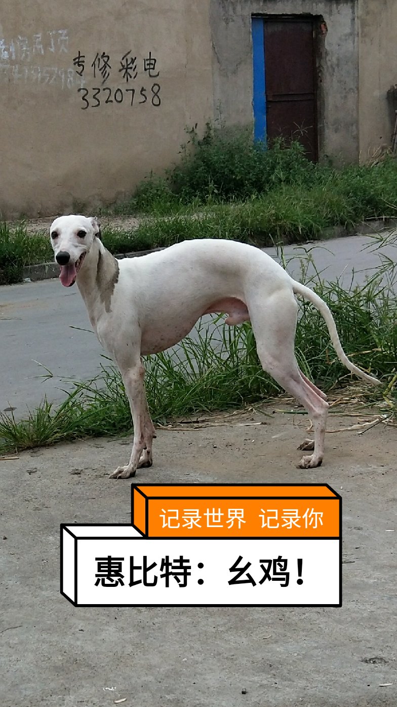 唐山:惠比特~李洪生的主页-快手直播