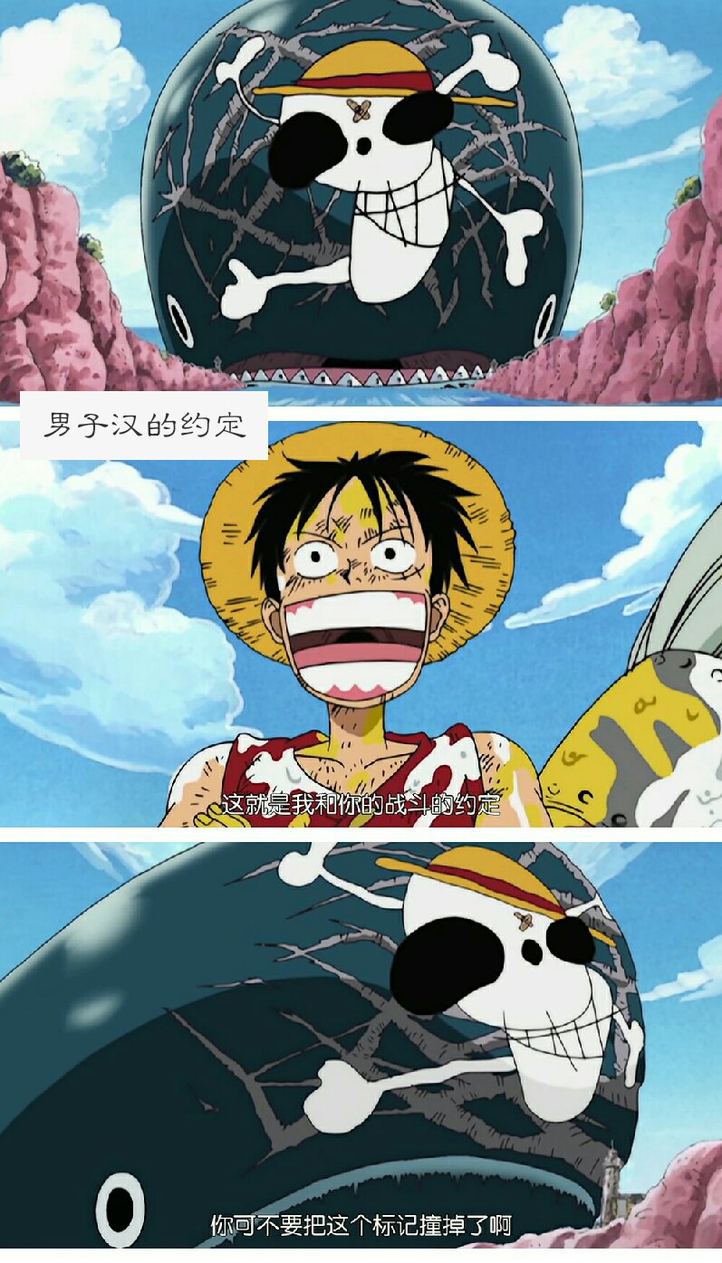 男子汉的约定 路飞与拉布再次的誓言 #天天##航路##海贼王##路飞