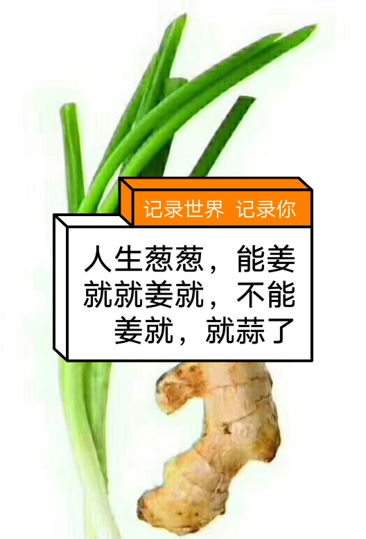 诠释:人生葱葱,能姜就就姜就,不能姜就,就蒜了 5月前