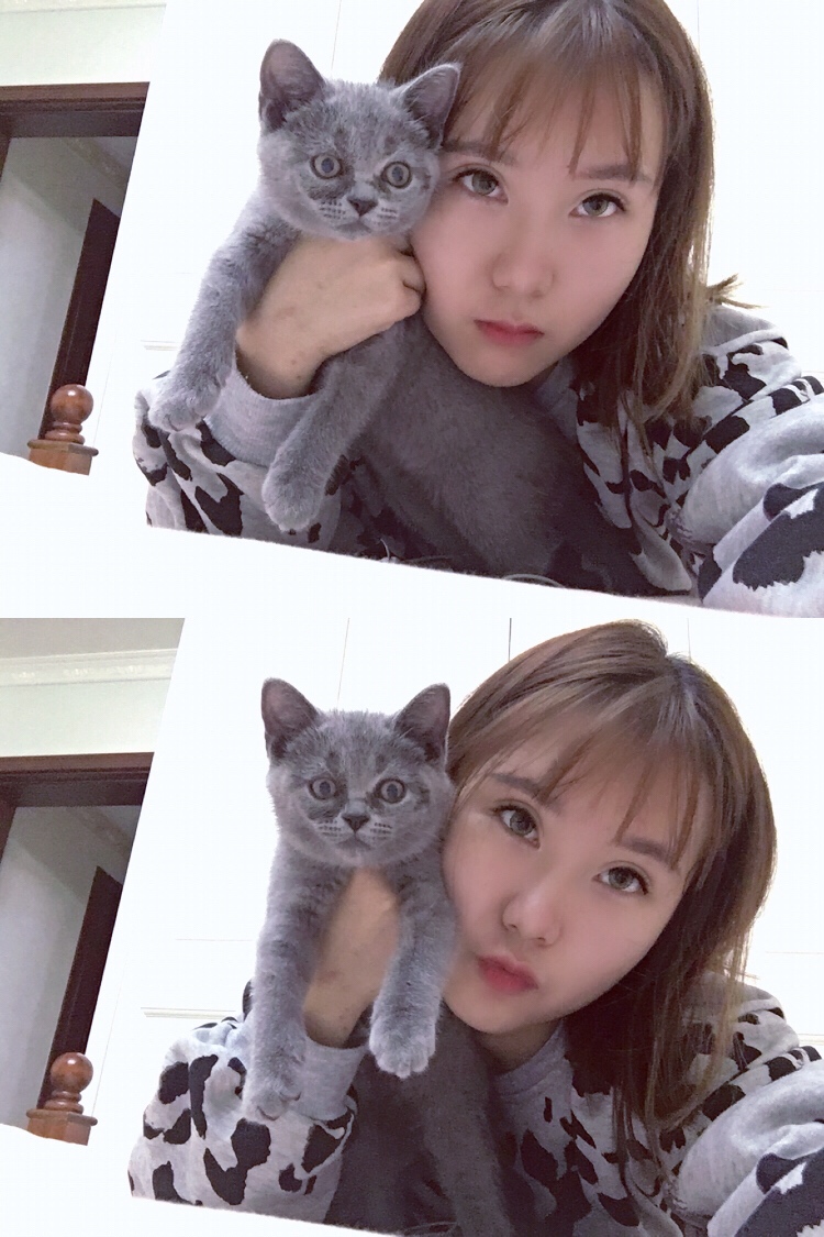 91-鲨鱼姐姐的主页-快手直播