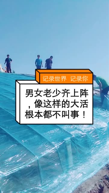 三个大棚的工作量,大点干,早点散,干完赶紧回家去做饭 729     61 赞