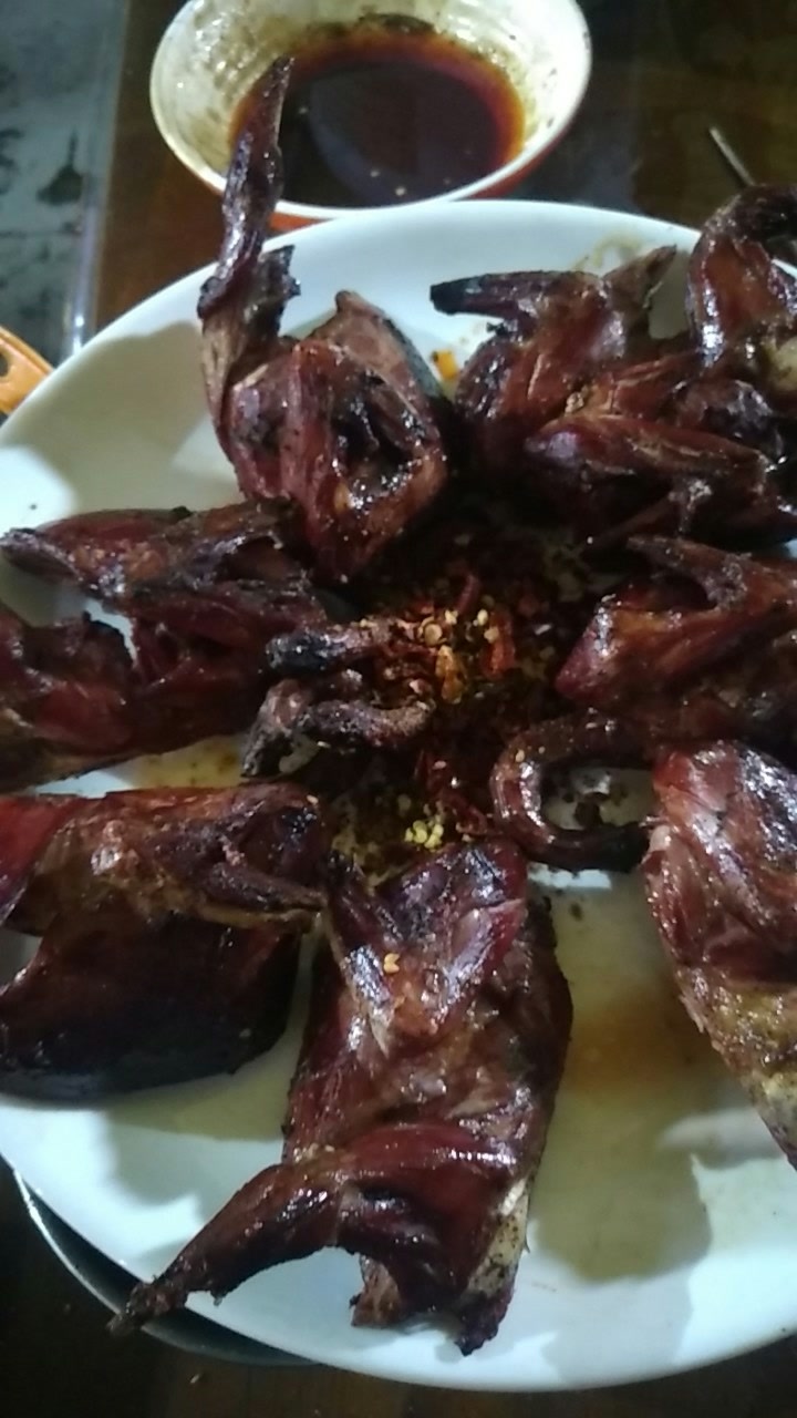 馕坑烤鸽子 312       赞 1月前