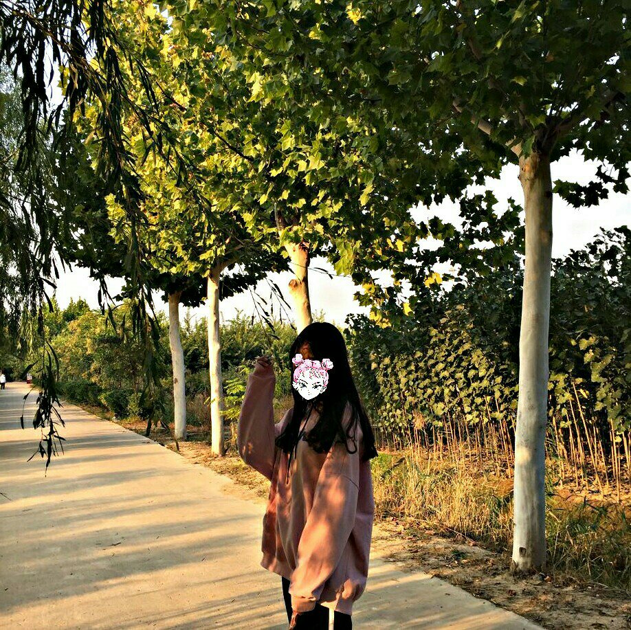 想发快手   没照片系列 1729     215 赞                 54 评论