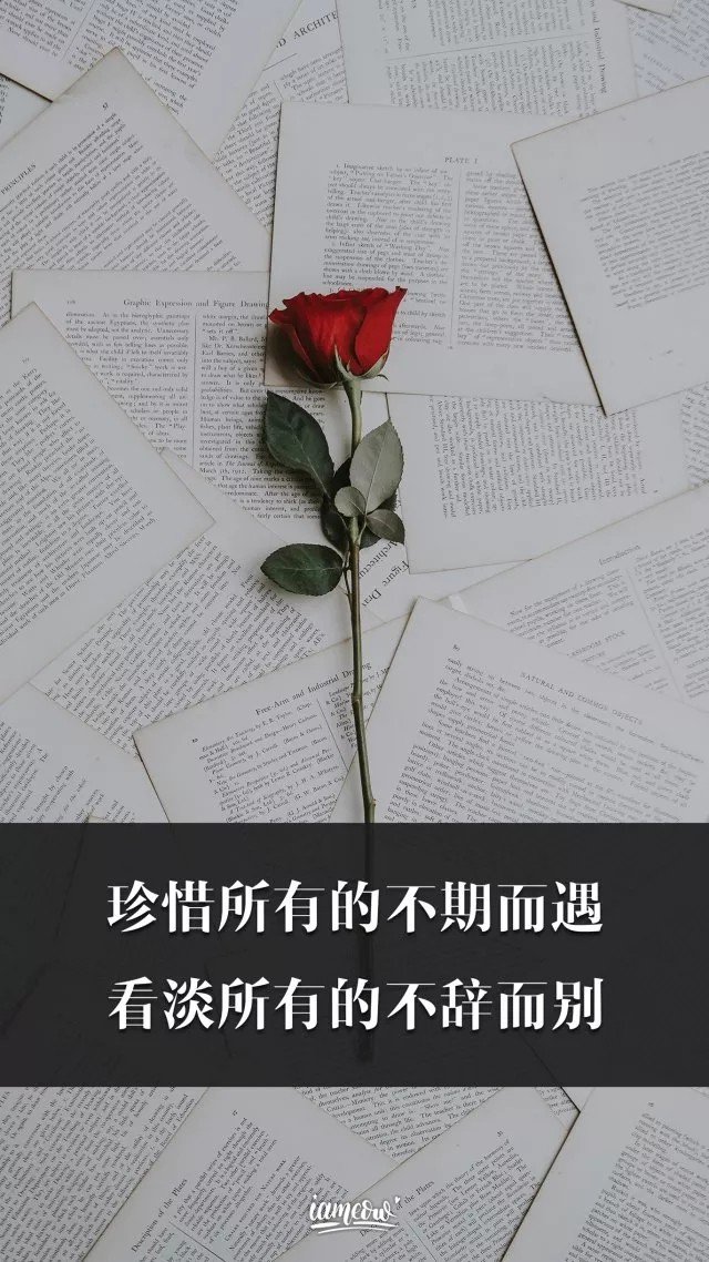 珍惜所有的不期而遇  看淡所有的不辞而别 2月前