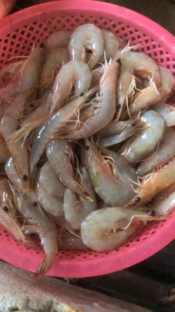 野生白刺虾 590       赞                   评论              13