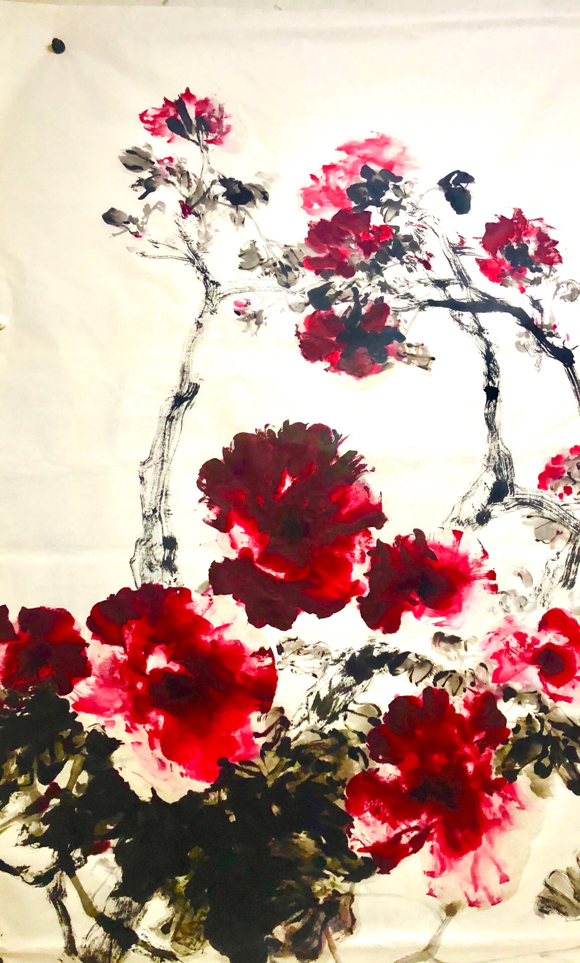 世界第一牡丹张志文的主页-快手直播