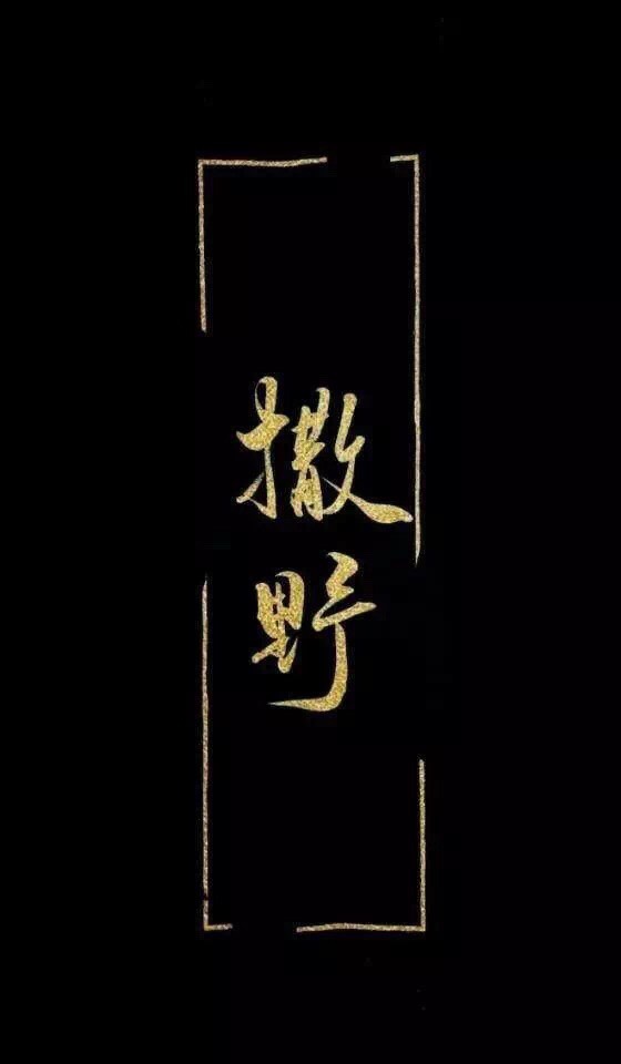 快手,记录世界 记录你
