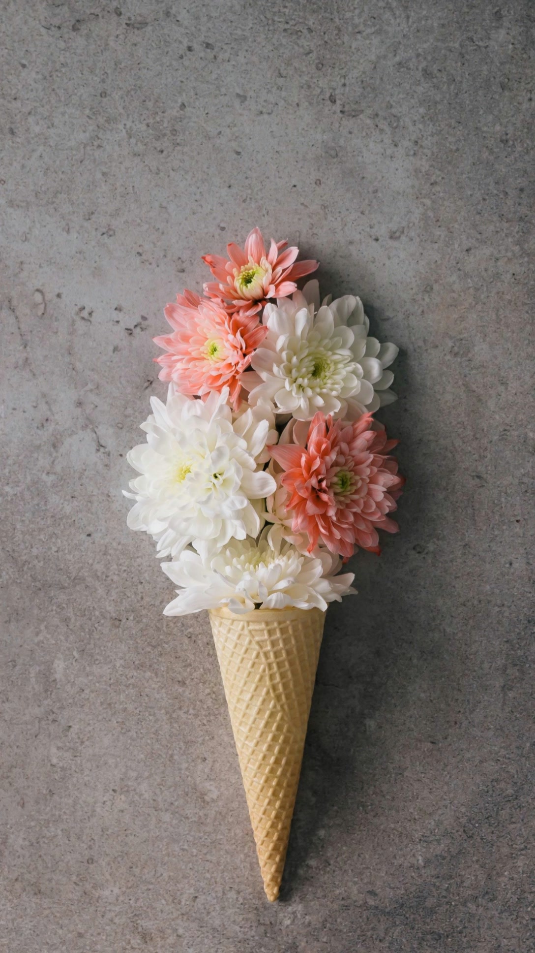 愿相随123456的主页-快手直播