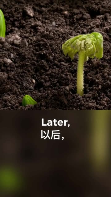 微博搜索 微博搜索