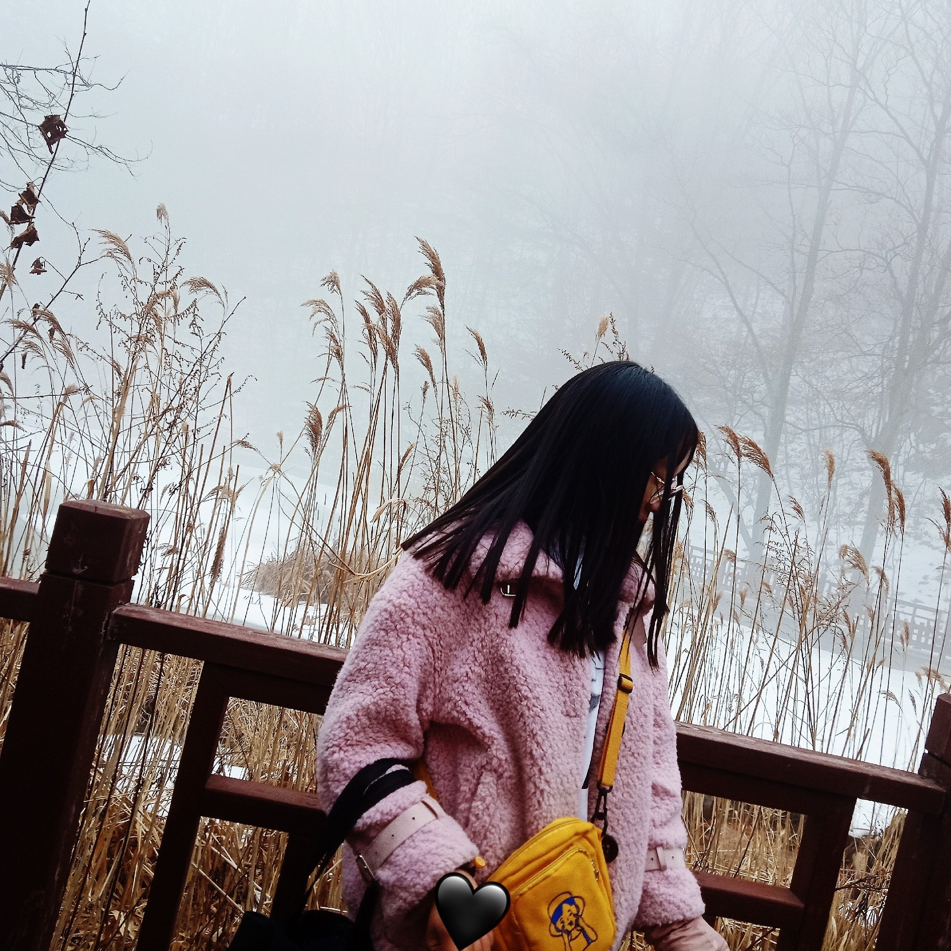 奶味王优秀(三家)