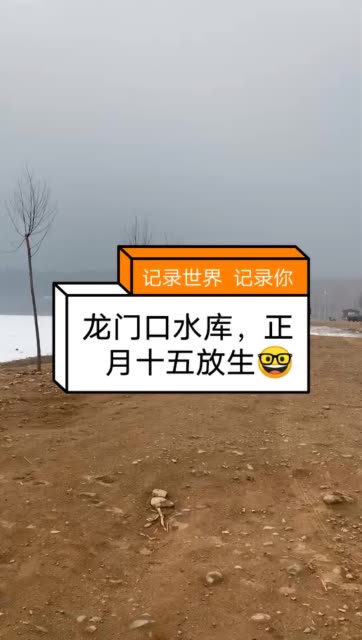 龙门口水库放鱼 2周前