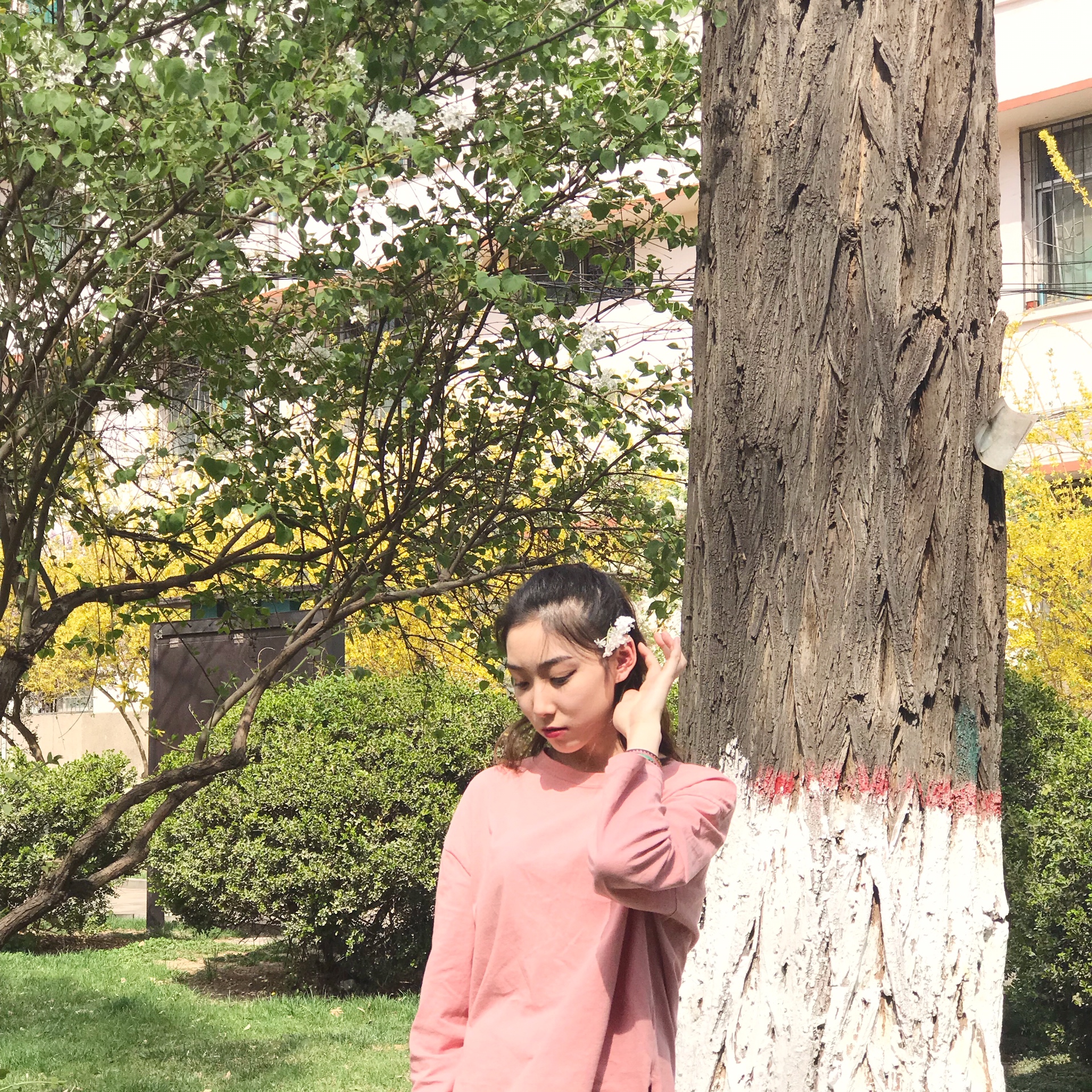 刘艺洋的主页-快手直播