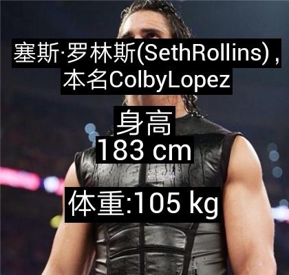 本人(o1197953686) @wwe罗门『凯葬』(o536059525) @wwe永恒的高柏(o2