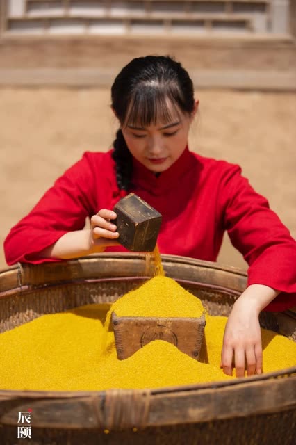 辰颐物语刘青华15804288813